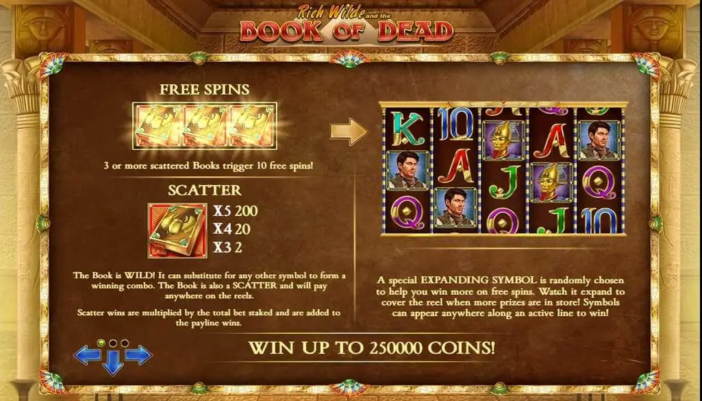 Book of Dead Bonus features, Wilds and Free Spins